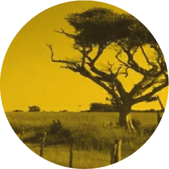 O Tempo e o Vento O Tempo e o Vento